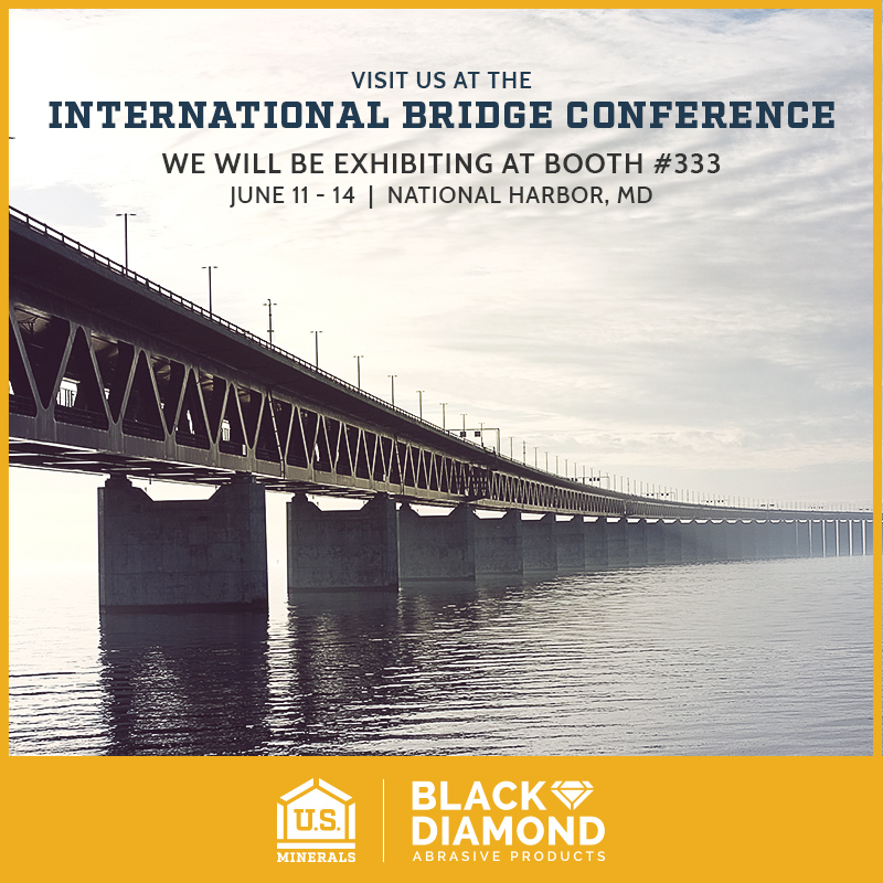 International Bridge Conference 2024 India Reeba Catlaina